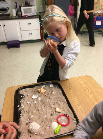 Sensory time exploring shells.