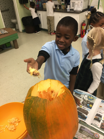 Exploring pumpkins...what's inside?