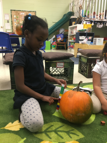 Exploring pumpkins...how tall is it?