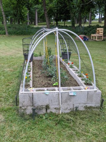 Raised bed garden with veggies and flowers growing!