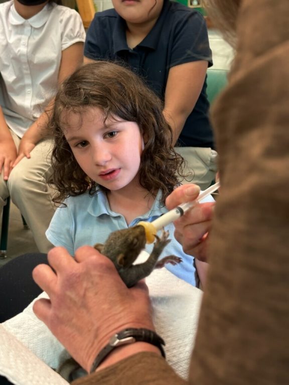 Students are enamored as special guest, Donna Gilmore, feeds a rescued baby squirrel.