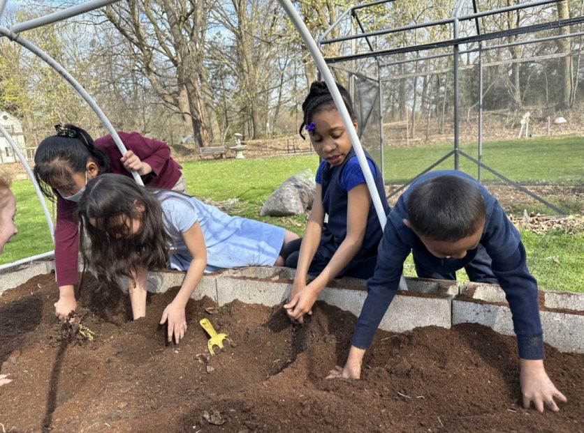 Preparing the soil in our raised bed garden.