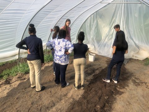 Students listen to instruction in the hoop house to begin preparing the soil for planting.